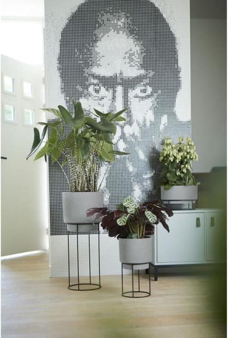 Immagine prodotto Elho b.per lo studio (22 cm)