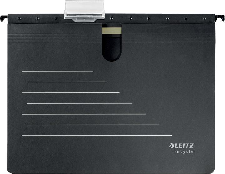 Actual product image Leitz RECYCLE - hanging file (A4, 1 x)