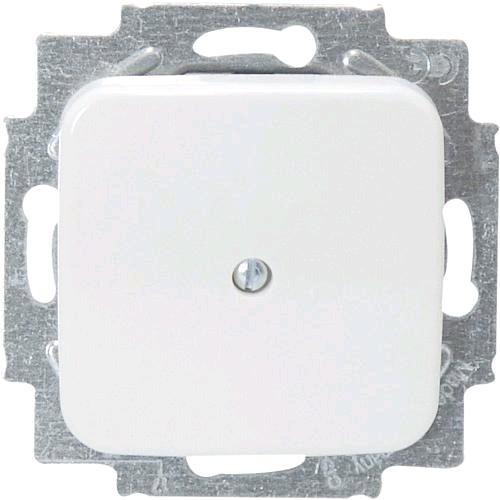 Actual product image Busch-Jaeger Blind central disc