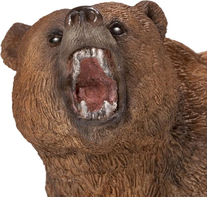Actual product image Schleich Grizzly Bear