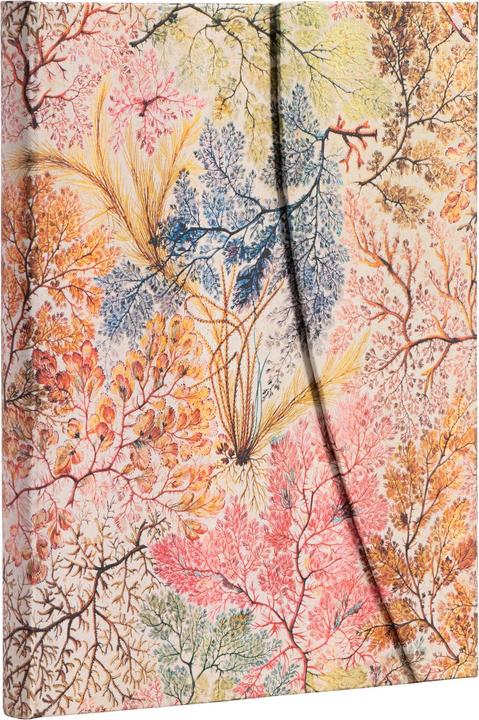 Image du produit Paperblanks Carnet de notes PB Ultra lin.Anemone (À rayures, Couverture rigide)