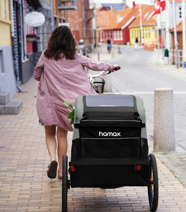 Actual product image hamax Avenida Twin