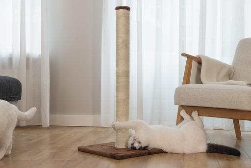 Image du produit Beeztees Bz Arbre à Chat Gina XL Brun 40x (90 cm, Marron)