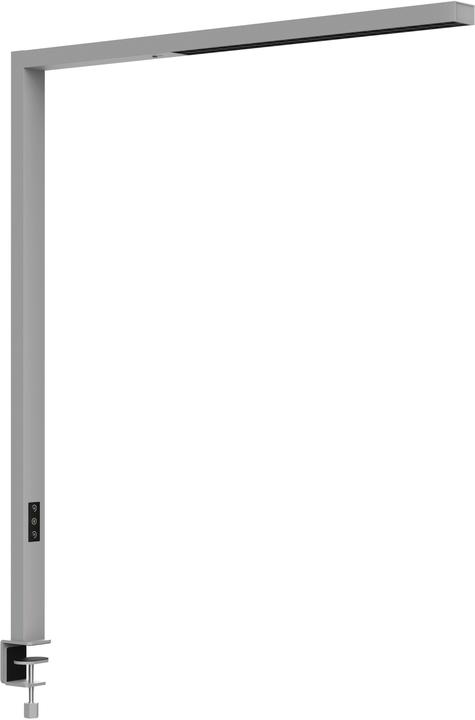 Maul LED-Tischleuchte sirius 8259395 Bewegung-/Lichtsensor, dim.