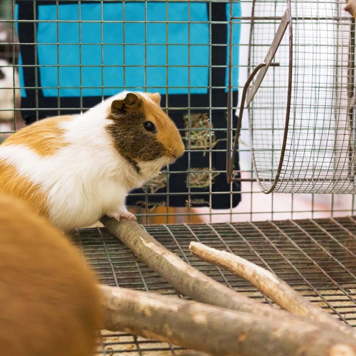 Actual product image Relaxdays Hay bag