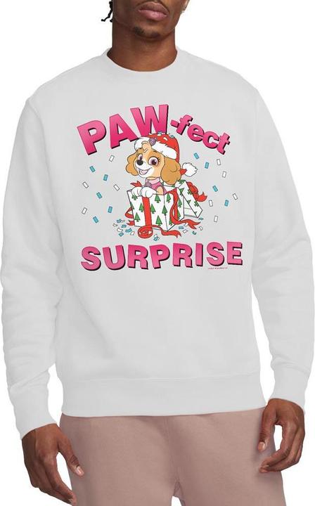 Produktbild Paw Patrol The PawFect Christmas Gift Sweatshirt (XL)