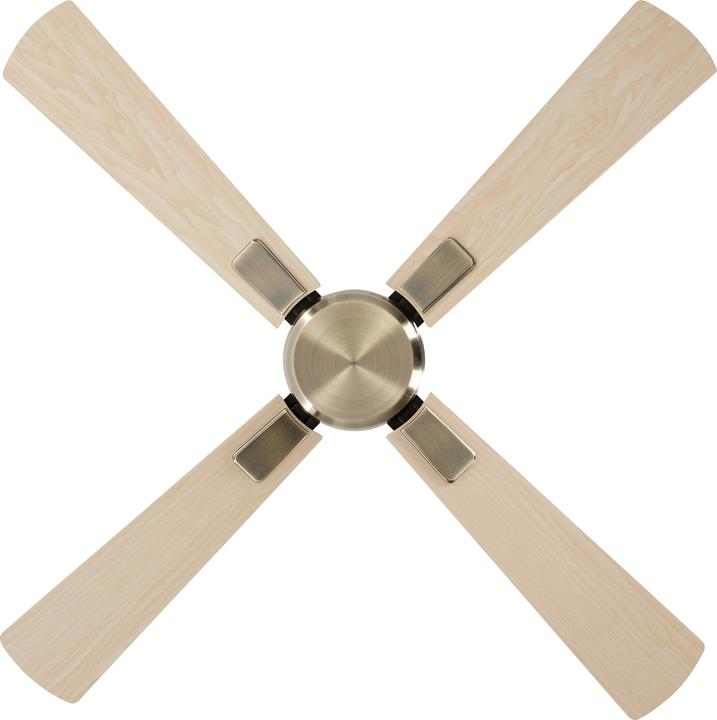 Image du produit CasaFan DC Ventilateur de plafond Eco Neo III WiFi 103 MA AH-BU (46.40 dB)