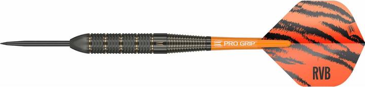 Image du produit Target Raymond van Barneveld Brass (22 g)