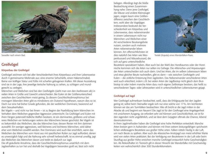 Image du produit Greifvögel & Eulen (Allemand, Walther Thiede, 2019)