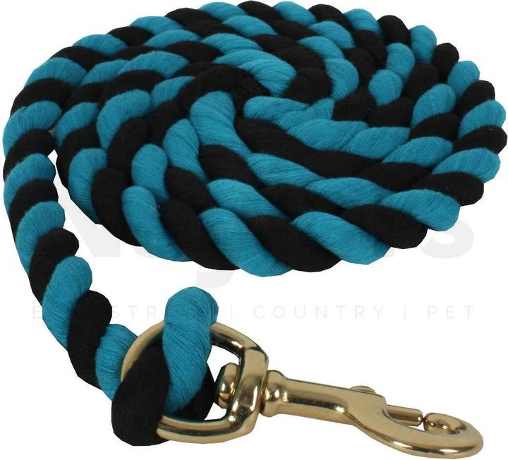 Shires Bâton de guidage pour chevaux