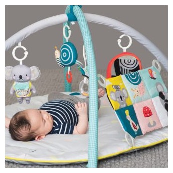 Actual product image Taf Toys All Around Me