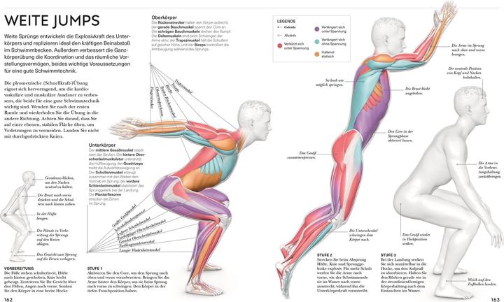 Produktbild Schwimmen - Die Anatomie verstehen (Deutsch, Anke Wellner-Kempf, Brett Hawke, 2025)