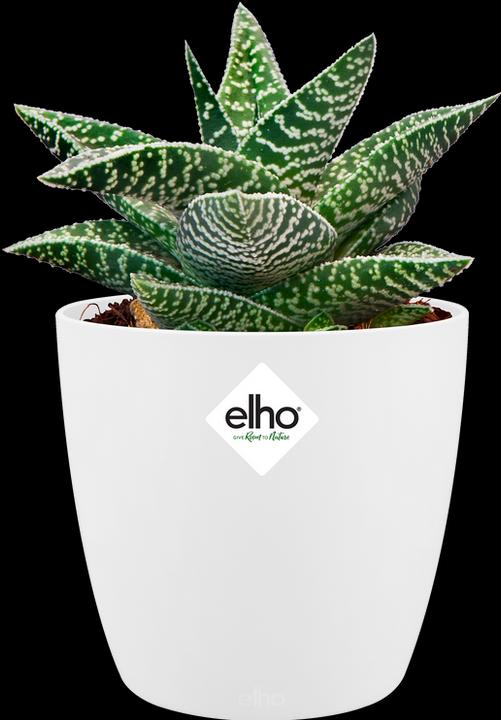 Image du produit Elho Bruxelles (11 cm)