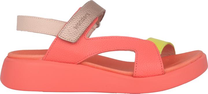 Actual product image Wonders Hali (38)