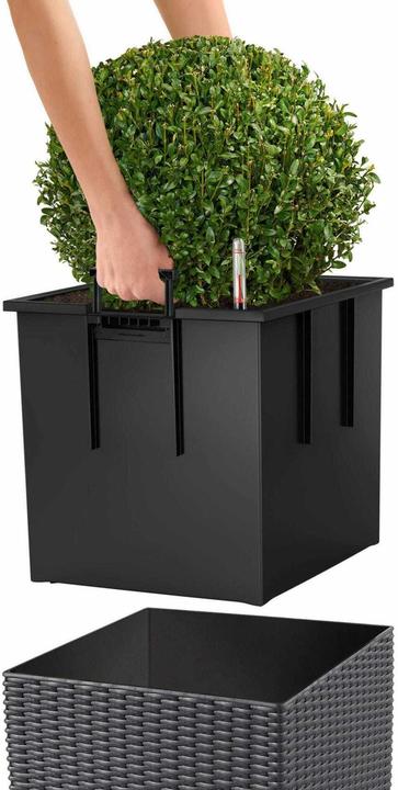 Produktbild Lechuza Cube Cottage (30 x 30 x 30 cm)