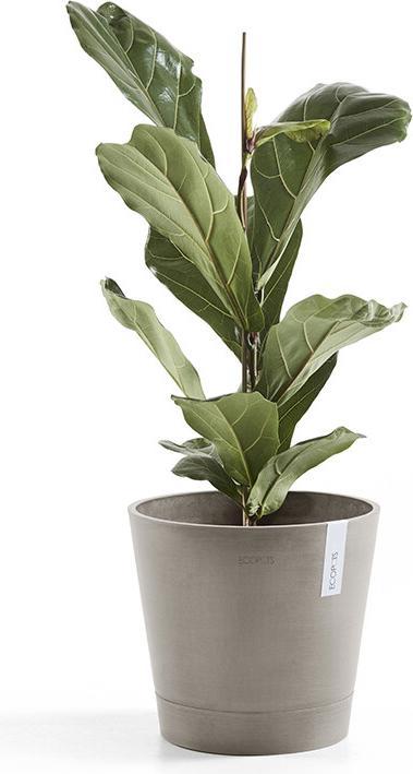 Actual product image Ecopots Venice (40 x 35 cm)