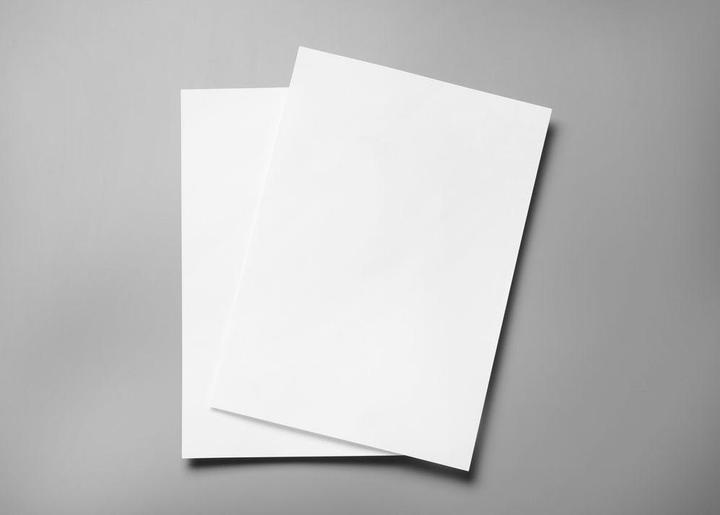 Ursus Carton d'insertion (25 x)