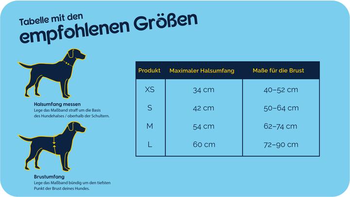 Actual product image Company of Animals CarSafe Autogeschirr (Dog)