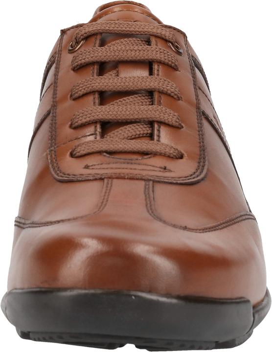 Image du produit Geox Baskets (43)