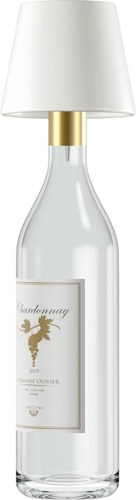 Actual product image RealPower Table mount (200 lm)