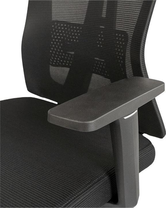 Produktbild Contini ErgoFlex (47 - 53 cm)