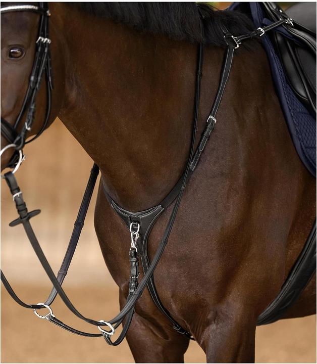 Image du produit Waldhausen X-Line Vorderzeug Work