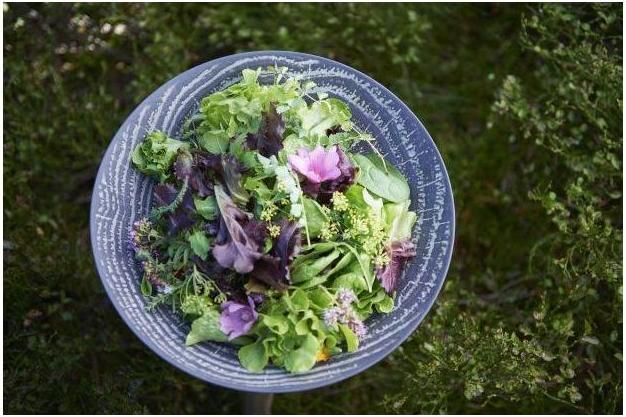 Image du produit Revol Arborescence (1 x, 24.20 cm)