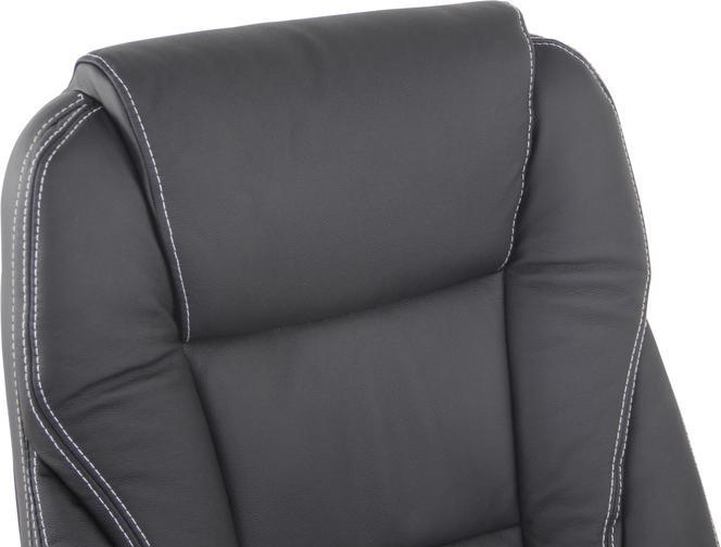 Image du produit CLP Pacific (50 - 60 cm)