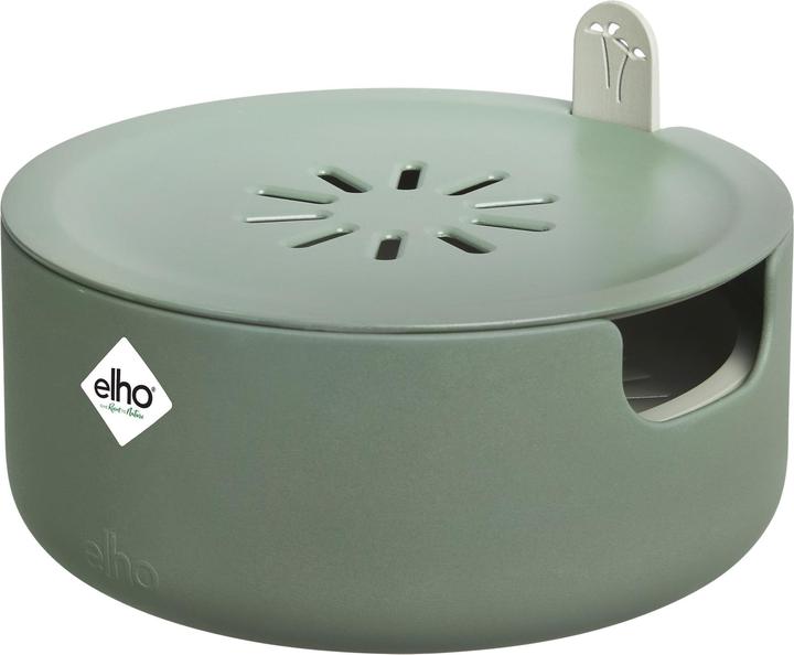 Verde foglia