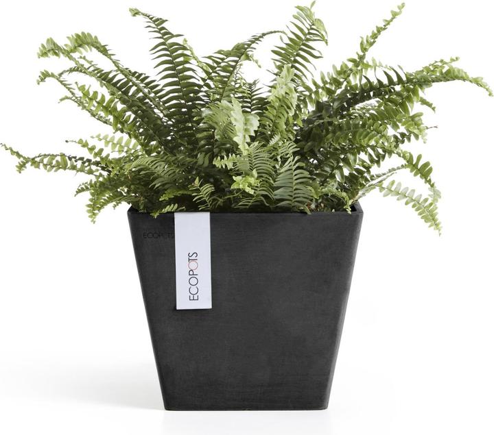 Immagine prodotto Ecopots Rotterdam (20 x 20 x 17.50 cm)