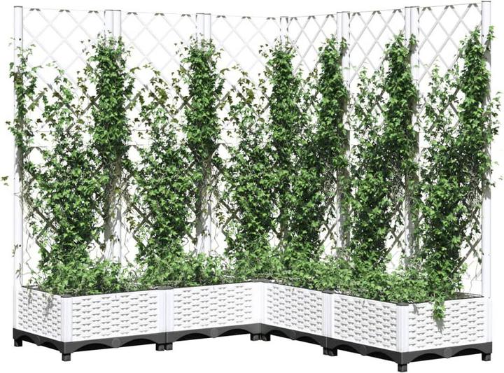 Image du produit vidaXL Atticus