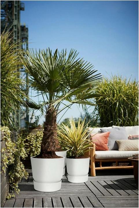 Produktbild Elho Greenville (47 cm)