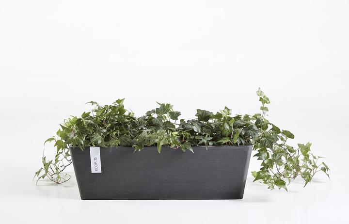 Produktbild Ecopots Bruges (80 cm)