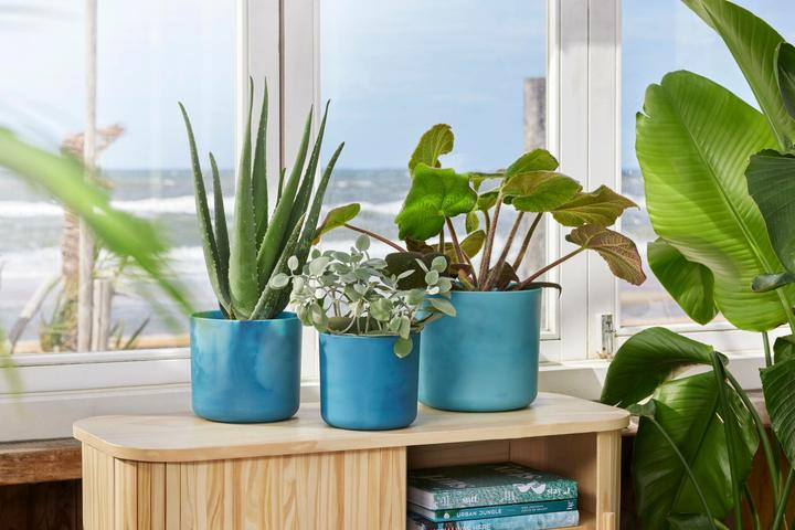 Produktbild Elho The Ocean Collection (14 x 13 cm)