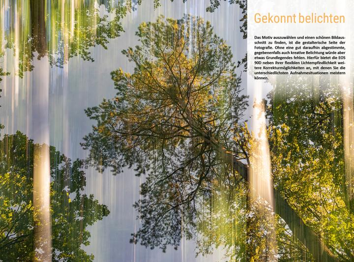 Immagine prodotto Canon EOS 90D (Tedesco, Christian Bildner, Dott.ssa Kyra Sänger, Dr Christian Sänger, 2019)