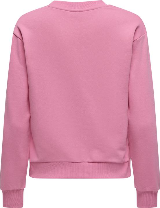 Produktbild JdY JDYPARIS Sweatshirt Sweatshirt (S)