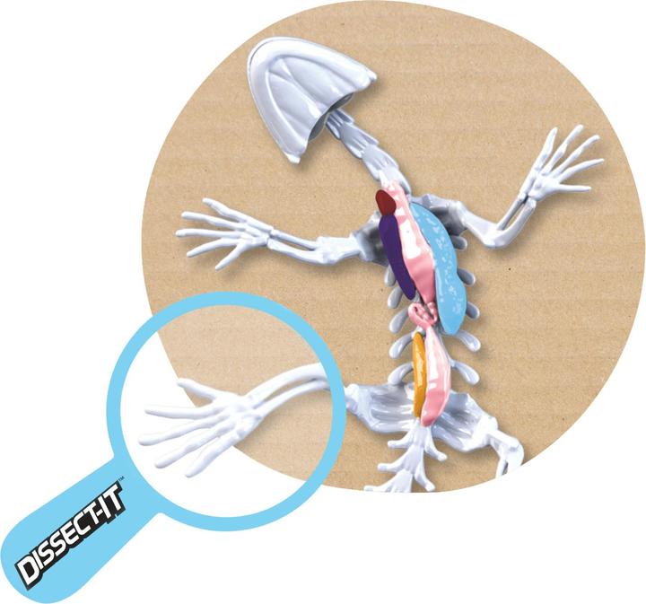 Productafbeelding Simba Scout Dissect-It Mini Lab, 3-p.