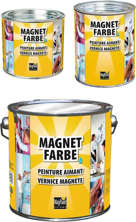Immagine prodotto Magpaint Colore magnetico (Grigio, 2.50 l)