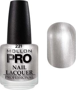 Immagine prodotto Mollon Pro Vernis Classique Silver Shimmer Nail Polish 15ml