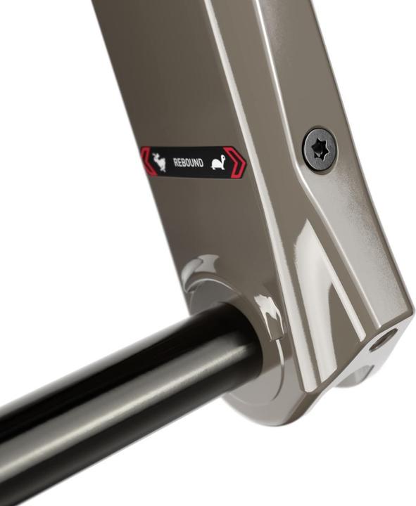 Actual product image RockShox RUDY Ultimate Race Day Crown 700c 12x100 (30 mm, Air)