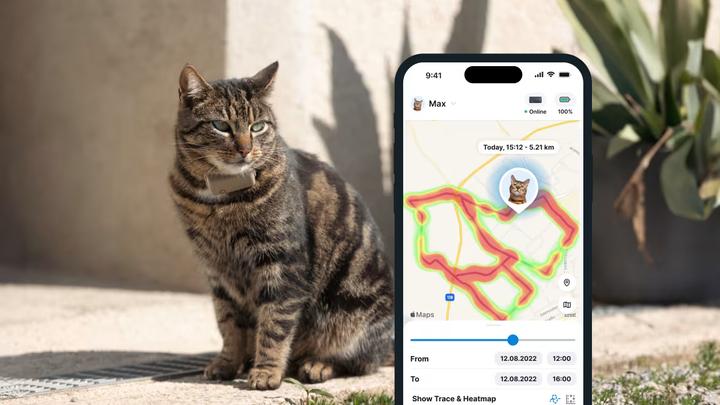 Produktbild Tractive GPS Mini (One Size, Katze, Allgemein)