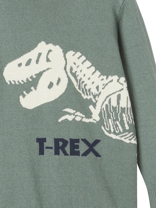 Actual product image Vertbaudet Jungen Pullover mit Dino (86)