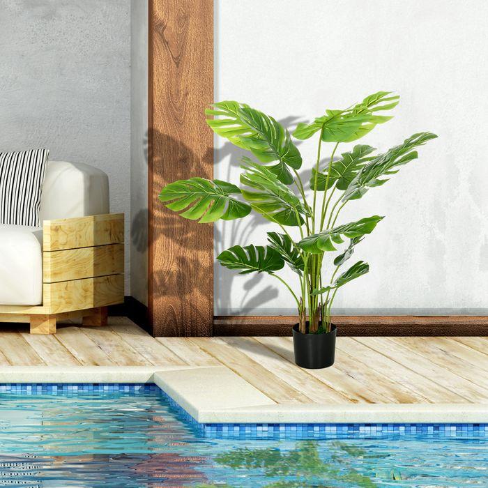Immagine prodotto Swisshandel24 Monstera (120 cm)