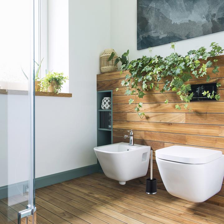Image du produit Relaxdays Brosse WC de rechange, set de 2