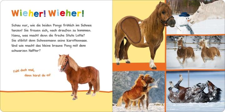 Produktbild Hör mal rein, wer kann das sein? – Kleine Tiere im Schnee (Deutsch, 2022)