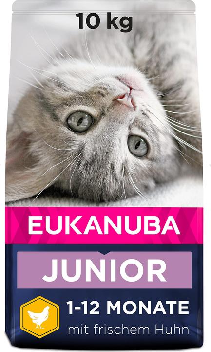 Actual product image Eukanuba Kitten Healthy Start 10kg (10000 g)