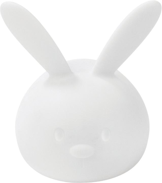 Image du produit Nattou Lapin