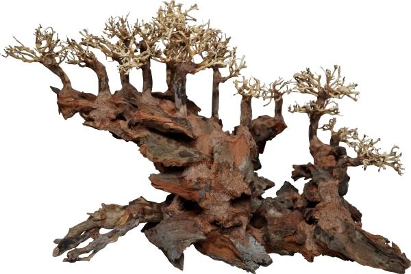 4fish Traerødder, Water bridge, 60x30x40 cm (sonstige Gegenstände)