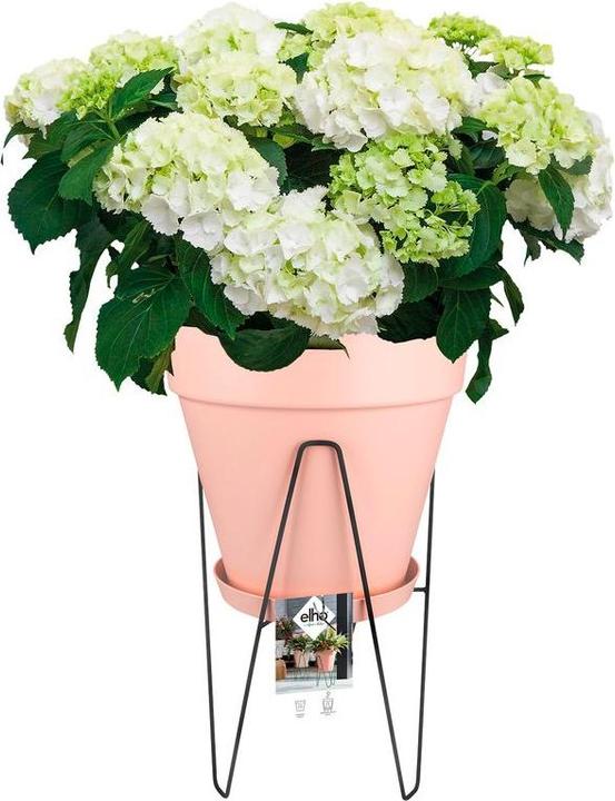 Image du produit Elho Loft Urban Frame