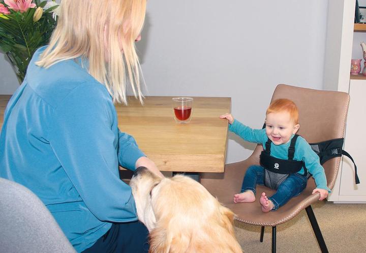 Immagine prodotto Dooky Seggiolino da viaggio a 5 punti con chiusura in velcro